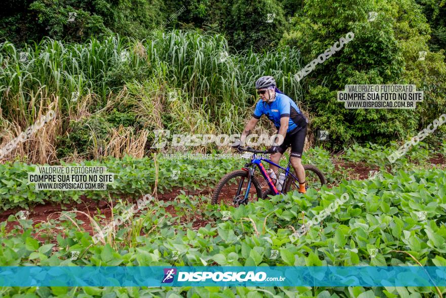 1ª EDIÇÃO DESAFIO ABELHA GRANDE - XCM