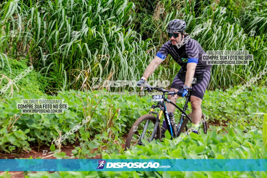 1ª EDIÇÃO DESAFIO ABELHA GRANDE - XCM