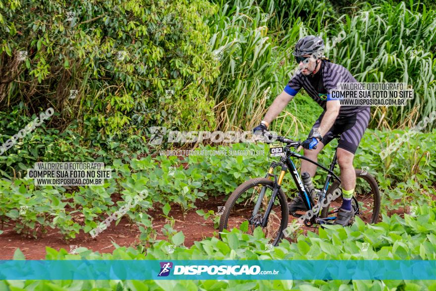 1ª EDIÇÃO DESAFIO ABELHA GRANDE - XCM