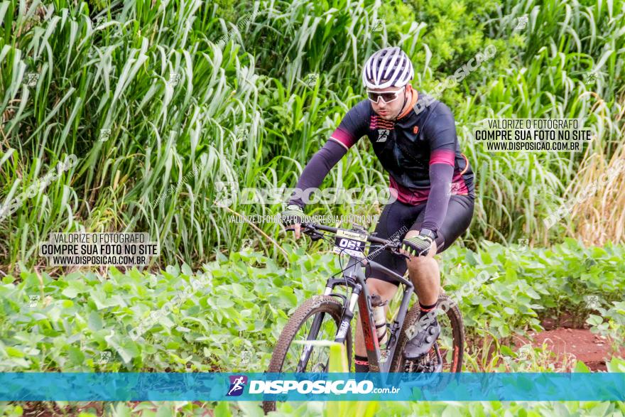 1ª EDIÇÃO DESAFIO ABELHA GRANDE - XCM