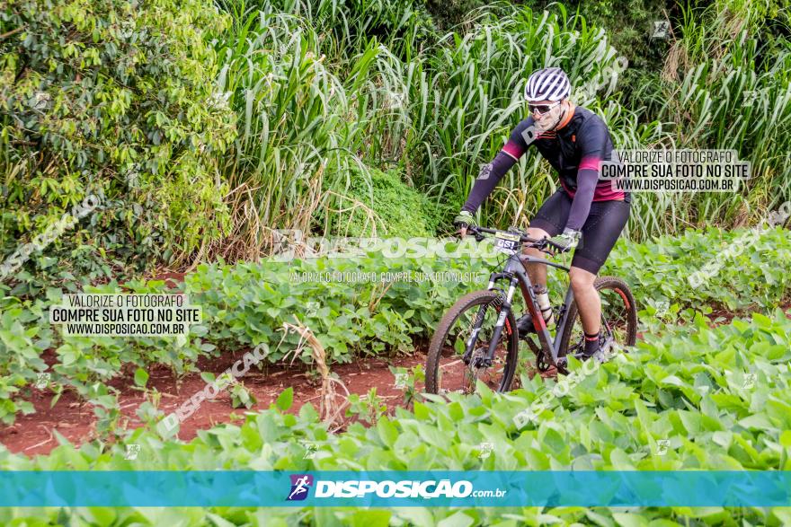 1ª EDIÇÃO DESAFIO ABELHA GRANDE - XCM