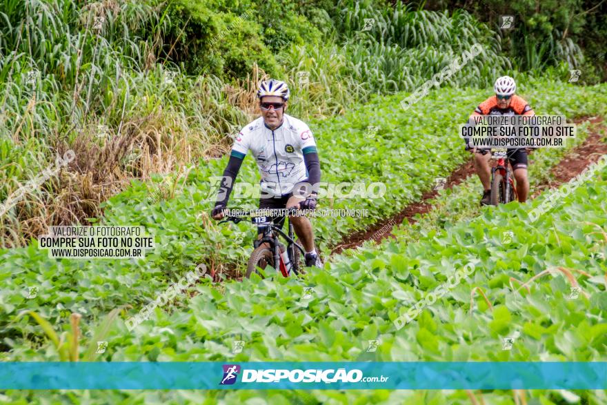 1ª EDIÇÃO DESAFIO ABELHA GRANDE - XCM