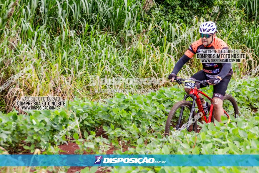 1ª EDIÇÃO DESAFIO ABELHA GRANDE - XCM