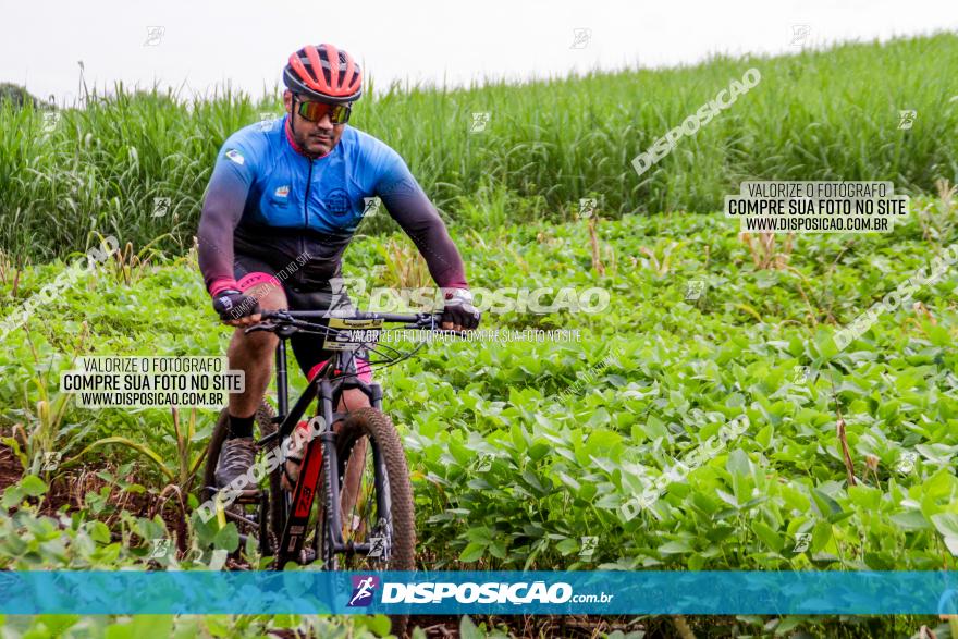 1ª EDIÇÃO DESAFIO ABELHA GRANDE - XCM