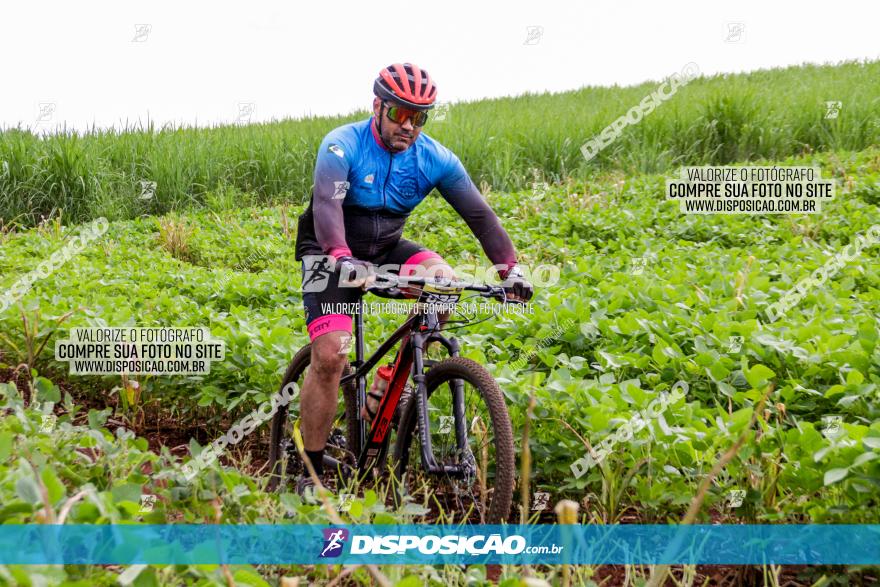 1ª EDIÇÃO DESAFIO ABELHA GRANDE - XCM