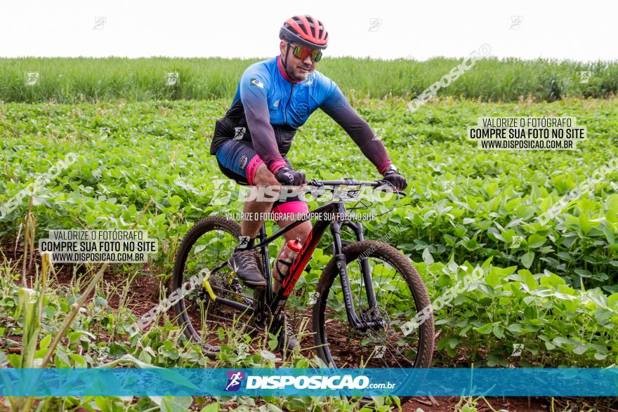 1ª EDIÇÃO DESAFIO ABELHA GRANDE - XCM