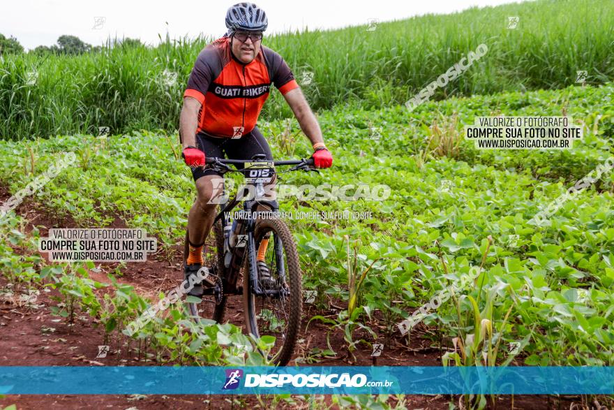 1ª EDIÇÃO DESAFIO ABELHA GRANDE - XCM