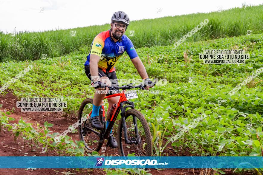 1ª EDIÇÃO DESAFIO ABELHA GRANDE - XCM