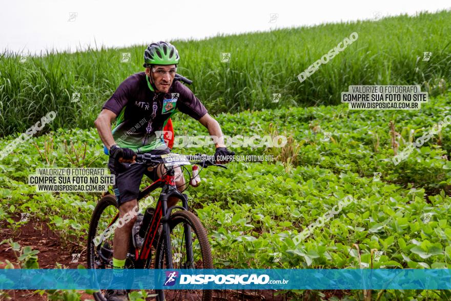 1ª EDIÇÃO DESAFIO ABELHA GRANDE - XCM