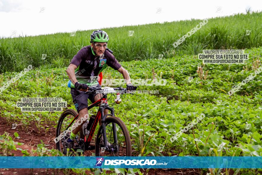 1ª EDIÇÃO DESAFIO ABELHA GRANDE - XCM