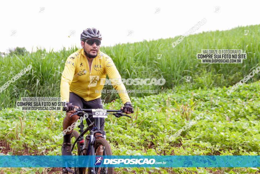 1ª EDIÇÃO DESAFIO ABELHA GRANDE - XCM