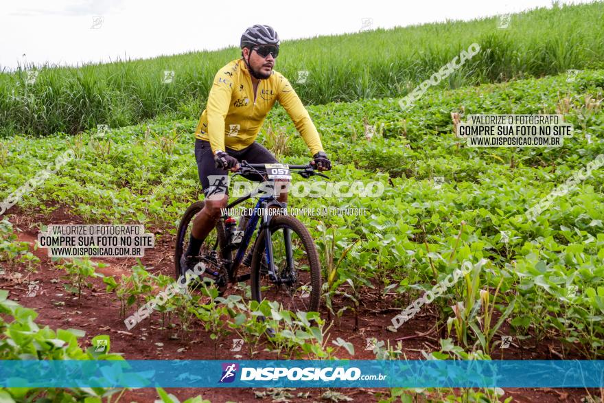 1ª EDIÇÃO DESAFIO ABELHA GRANDE - XCM