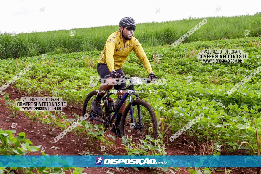 1ª EDIÇÃO DESAFIO ABELHA GRANDE - XCM