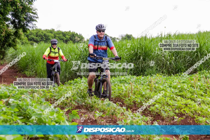 1ª EDIÇÃO DESAFIO ABELHA GRANDE - XCM