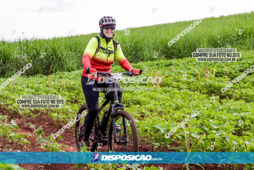 1ª EDIÇÃO DESAFIO ABELHA GRANDE - XCM