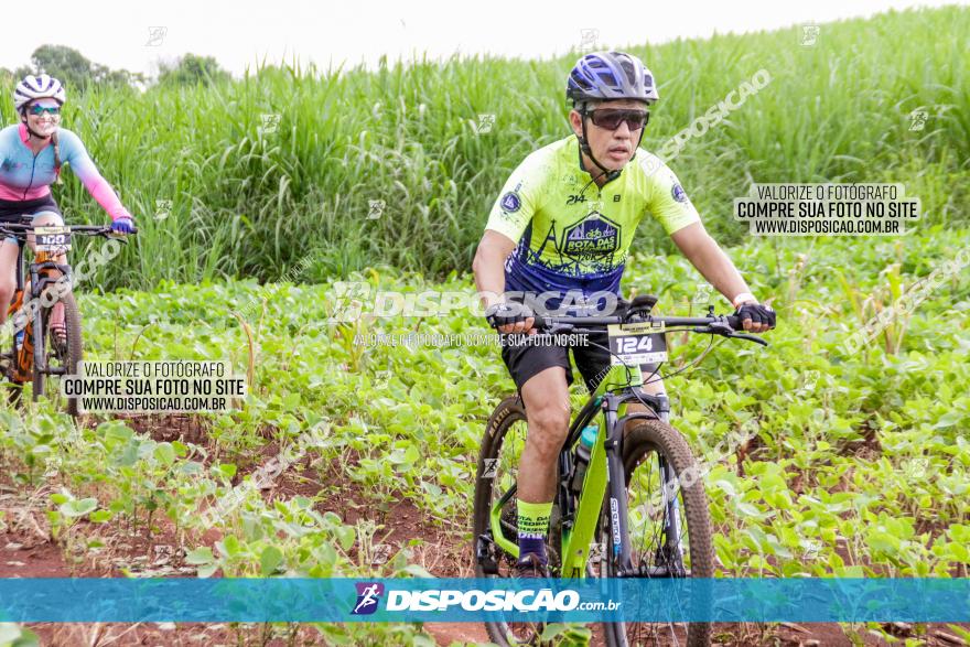 1ª EDIÇÃO DESAFIO ABELHA GRANDE - XCM