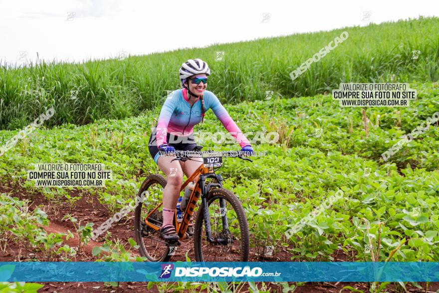 1ª EDIÇÃO DESAFIO ABELHA GRANDE - XCM