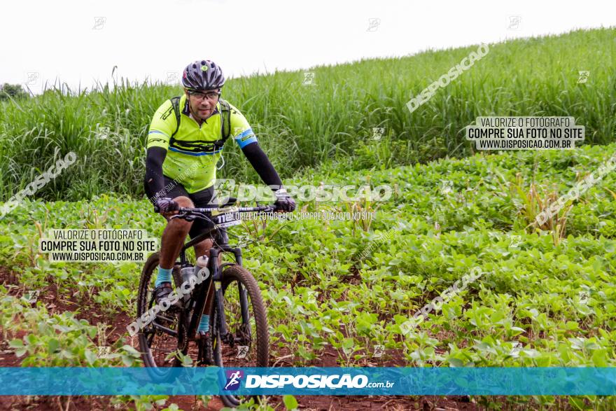 1ª EDIÇÃO DESAFIO ABELHA GRANDE - XCM