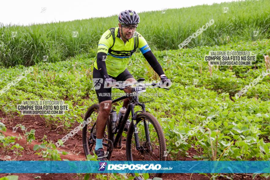 1ª EDIÇÃO DESAFIO ABELHA GRANDE - XCM