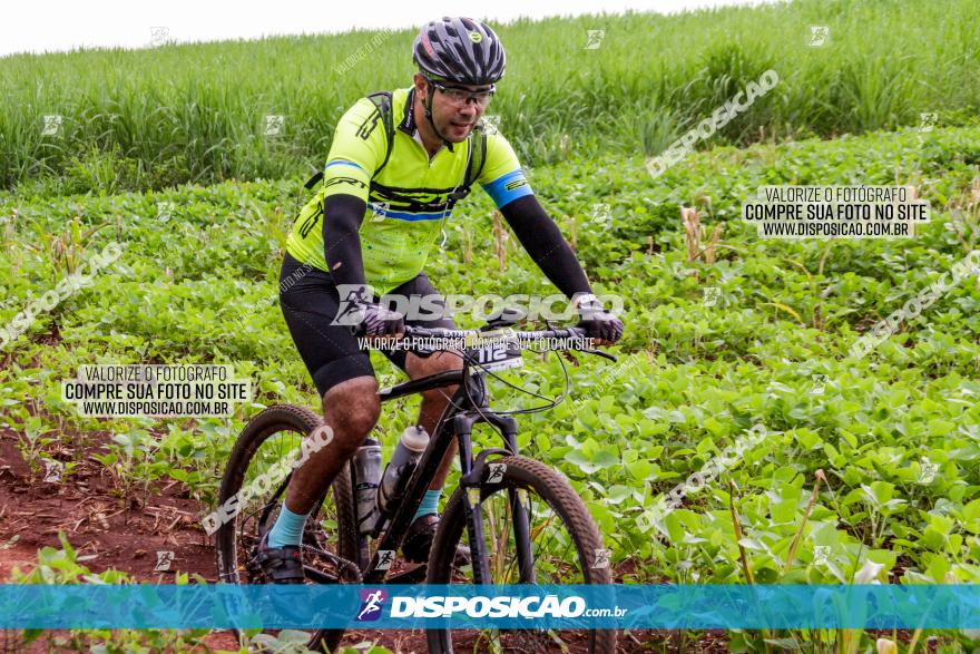 1ª EDIÇÃO DESAFIO ABELHA GRANDE - XCM