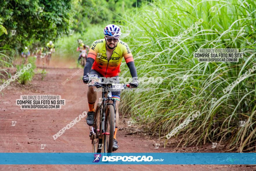 1ª EDIÇÃO DESAFIO ABELHA GRANDE - XCM