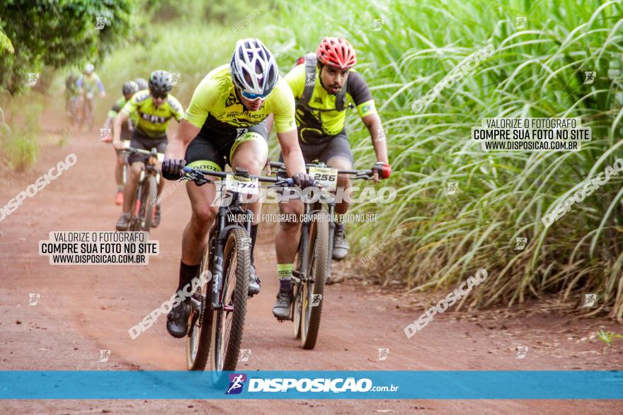 1ª EDIÇÃO DESAFIO ABELHA GRANDE - XCM