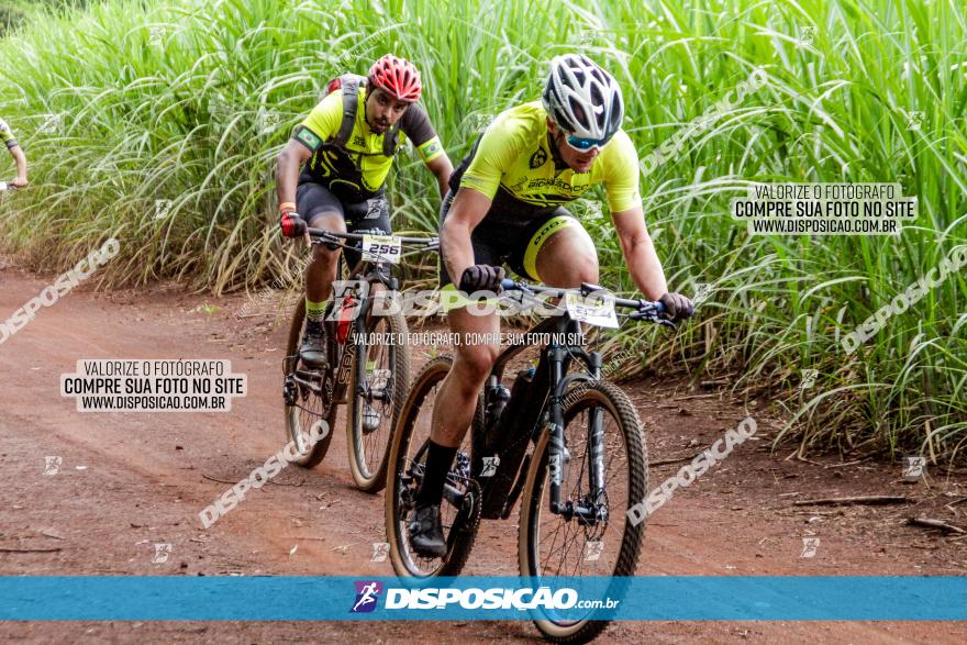 1ª EDIÇÃO DESAFIO ABELHA GRANDE - XCM