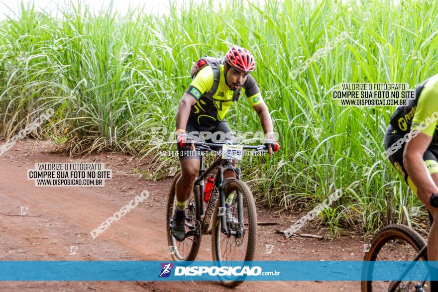 1ª EDIÇÃO DESAFIO ABELHA GRANDE - XCM