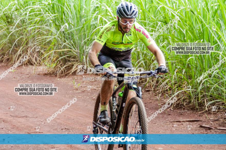 1ª EDIÇÃO DESAFIO ABELHA GRANDE - XCM