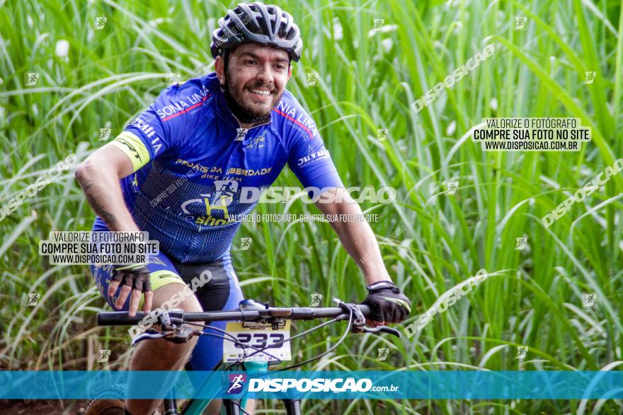 1ª EDIÇÃO DESAFIO ABELHA GRANDE - XCM