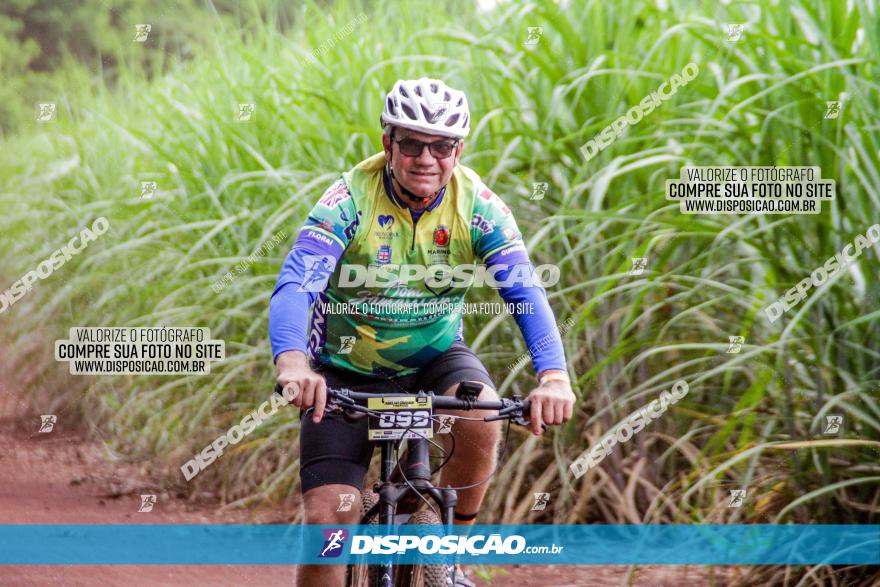 1ª EDIÇÃO DESAFIO ABELHA GRANDE - XCM