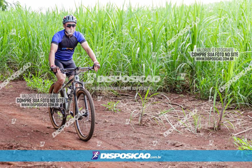 1ª EDIÇÃO DESAFIO ABELHA GRANDE - XCM