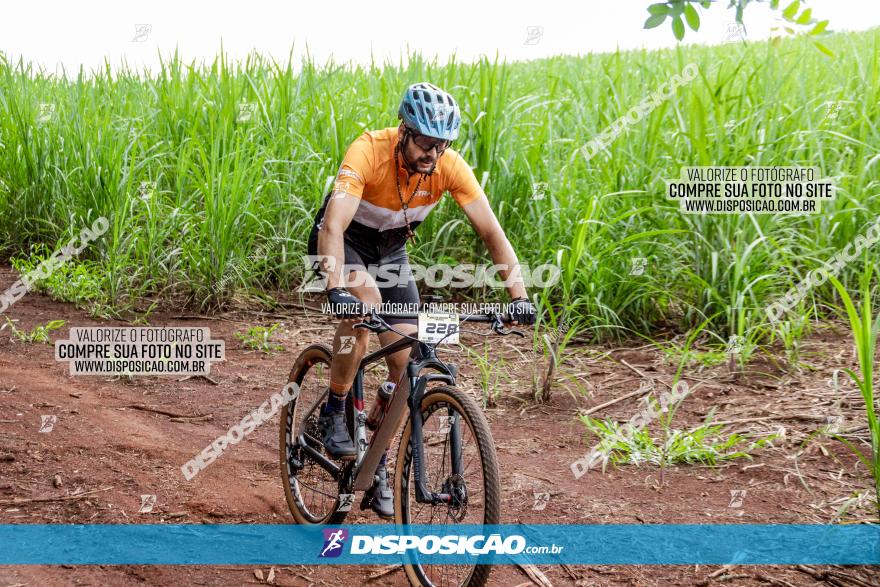 1ª EDIÇÃO DESAFIO ABELHA GRANDE - XCM