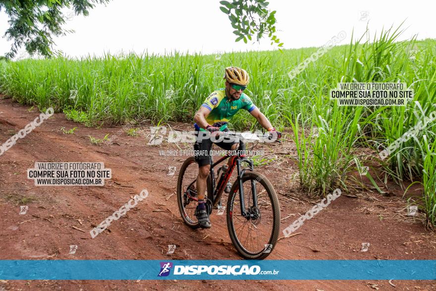 1ª EDIÇÃO DESAFIO ABELHA GRANDE - XCM