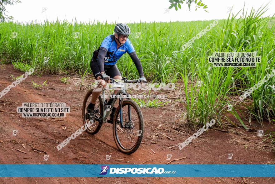 1ª EDIÇÃO DESAFIO ABELHA GRANDE - XCM