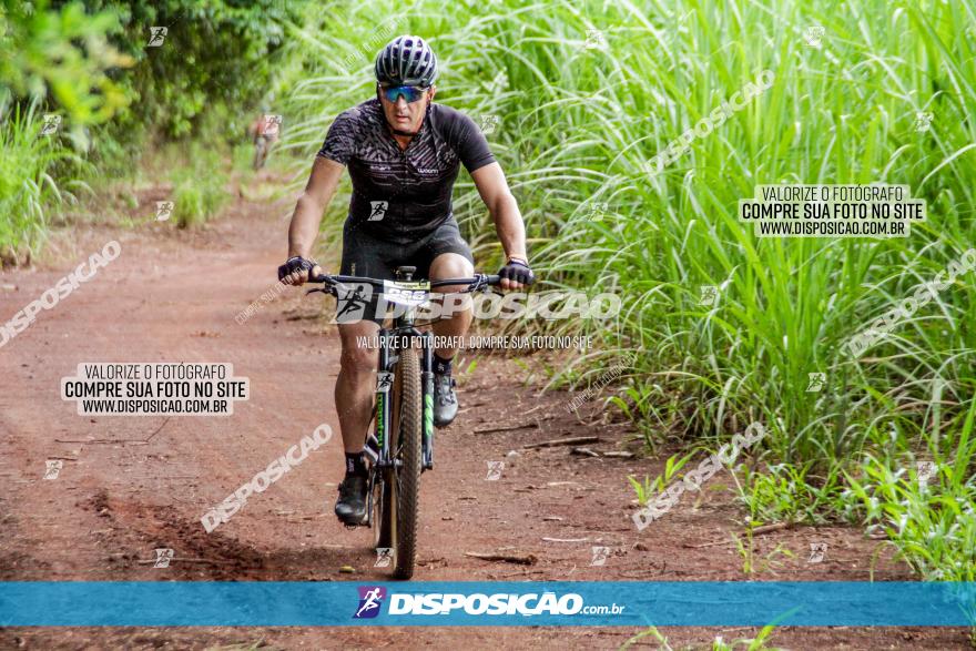 1ª EDIÇÃO DESAFIO ABELHA GRANDE - XCM