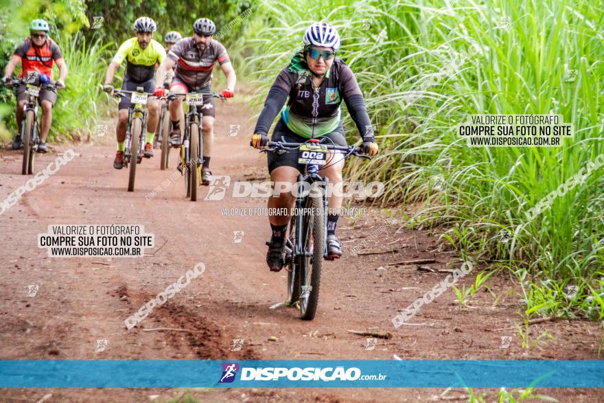 1ª EDIÇÃO DESAFIO ABELHA GRANDE - XCM