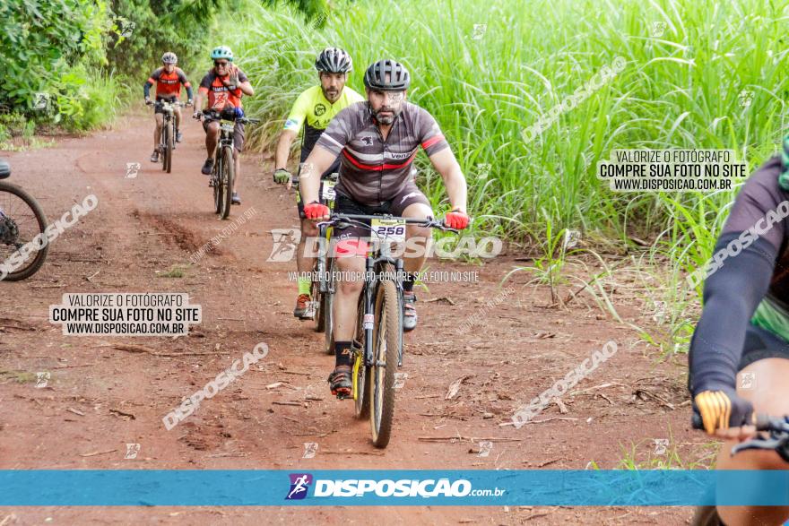 1ª EDIÇÃO DESAFIO ABELHA GRANDE - XCM