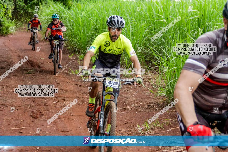 1ª EDIÇÃO DESAFIO ABELHA GRANDE - XCM