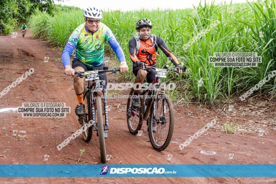 1ª EDIÇÃO DESAFIO ABELHA GRANDE - XCM