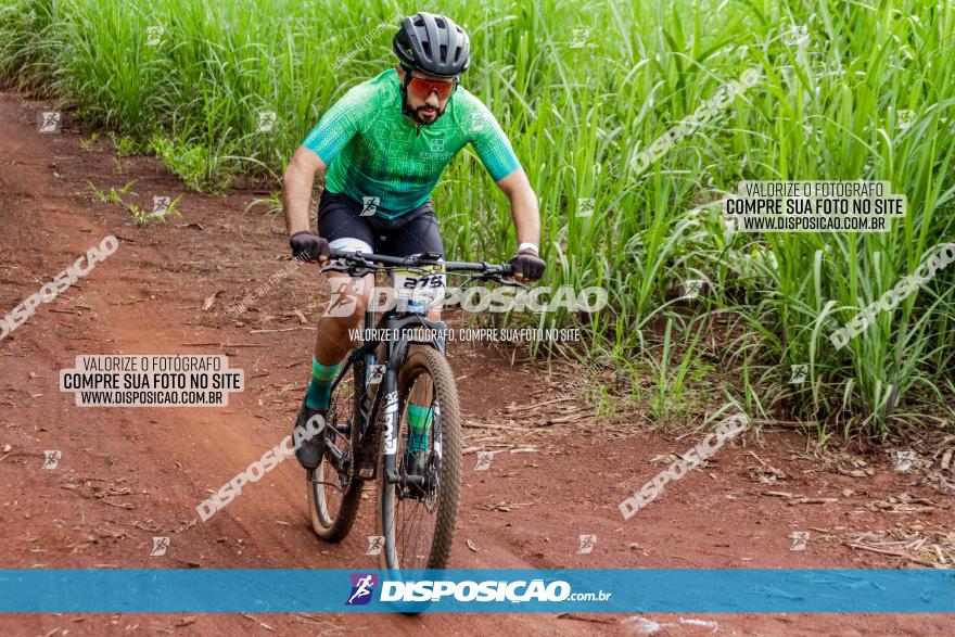 1ª EDIÇÃO DESAFIO ABELHA GRANDE - XCM