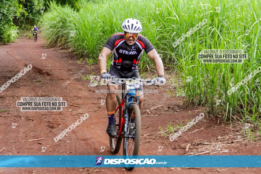 1ª EDIÇÃO DESAFIO ABELHA GRANDE - XCM