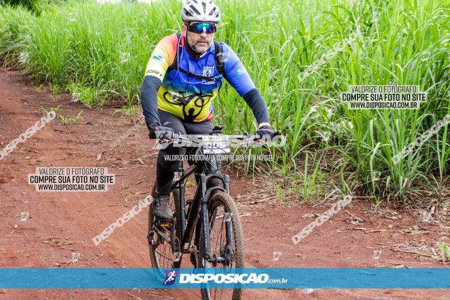 1ª EDIÇÃO DESAFIO ABELHA GRANDE - XCM