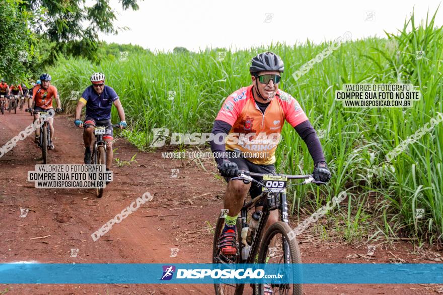 1ª EDIÇÃO DESAFIO ABELHA GRANDE - XCM