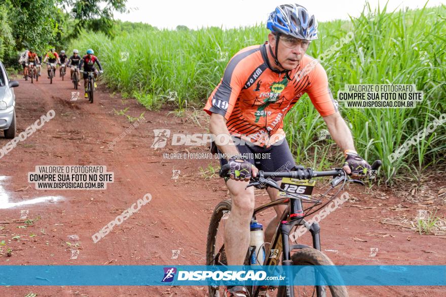 1ª EDIÇÃO DESAFIO ABELHA GRANDE - XCM