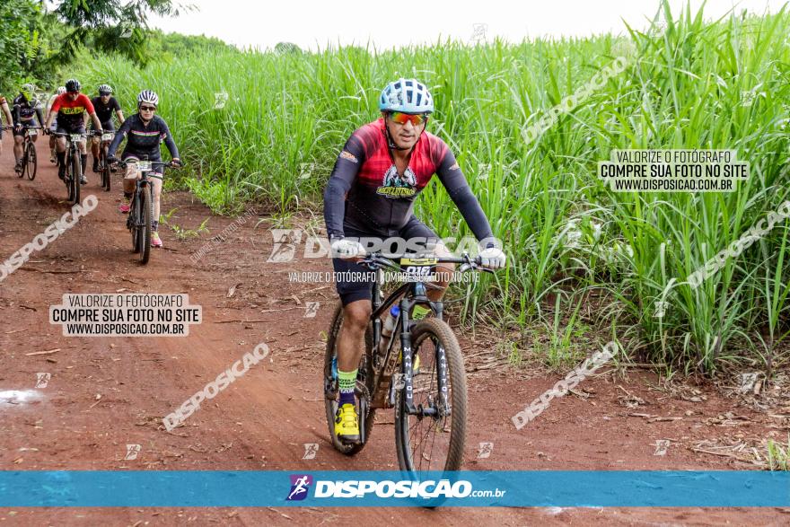 1ª EDIÇÃO DESAFIO ABELHA GRANDE - XCM