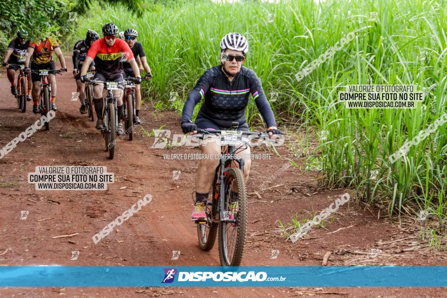 1ª EDIÇÃO DESAFIO ABELHA GRANDE - XCM