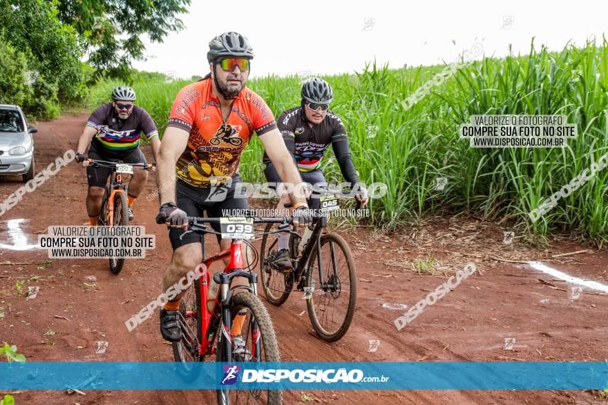 1ª EDIÇÃO DESAFIO ABELHA GRANDE - XCM