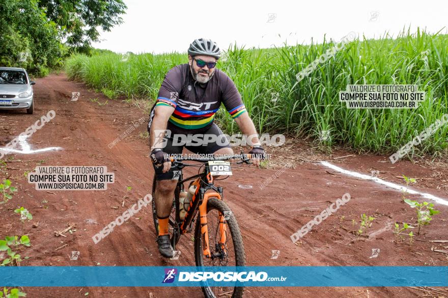 1ª EDIÇÃO DESAFIO ABELHA GRANDE - XCM