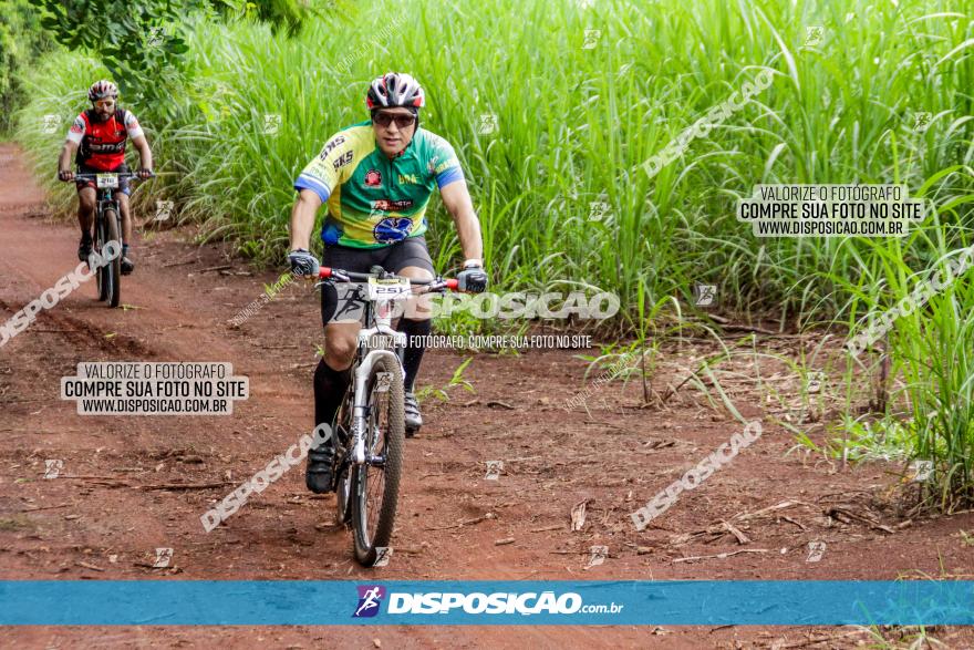 1ª EDIÇÃO DESAFIO ABELHA GRANDE - XCM